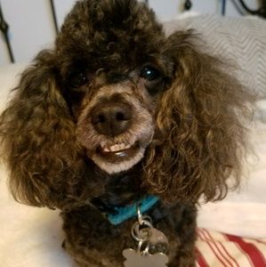 Meet your Posher, Susan